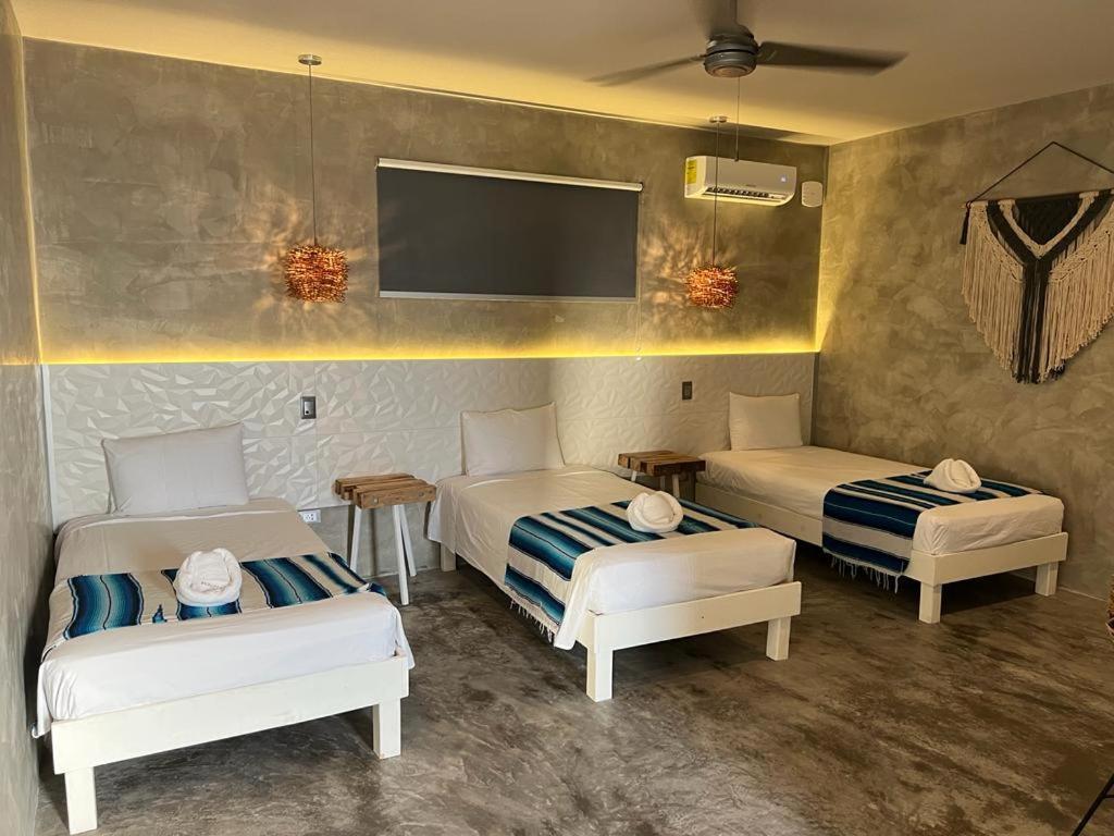 Villa Quetzal 신데 델 카르멘 외부 사진